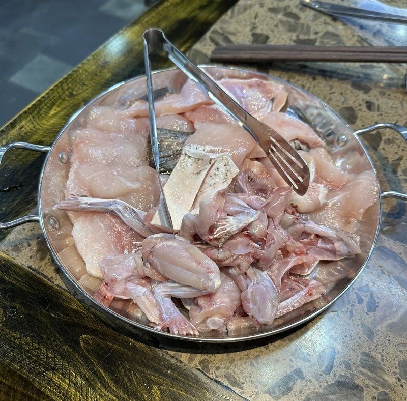 如何根據生肖選擇風水魚缸，魚缸擺放風水