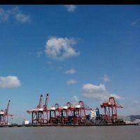 生財金龍魚圖片大全：“生財金龍魚圖片大全”