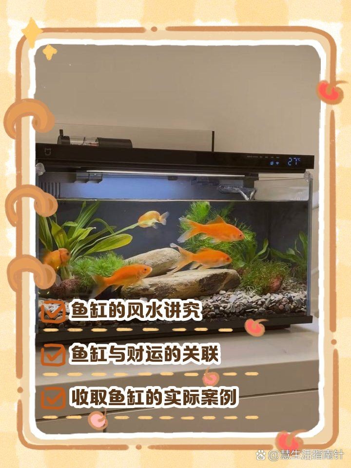 撿別人舊魚缸有沒忌諱：“撿別人舊魚缸是否有忌諱” 撿別人舊魚缸有沒忌諱：“撿別人舊魚缸是否有忌諱” 龍魚論壇 第6張