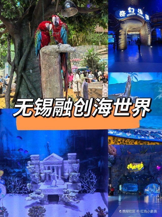無錫水族館：撫海星族館——華東地區(qū)極具特色的海洋主題館 無錫水族館：撫海星族館——華東地區(qū)極具特色的海洋主題館 全國水族館企業(yè)名錄 第2張