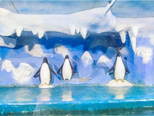 新鄉水族館：探秘新鄉水族館
