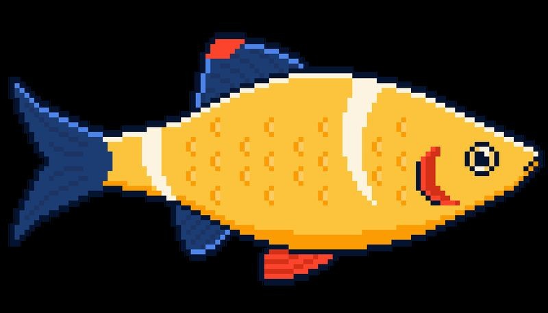 金虎魚圖片：*《金虎魚圖片》*《金虎魚圖片》