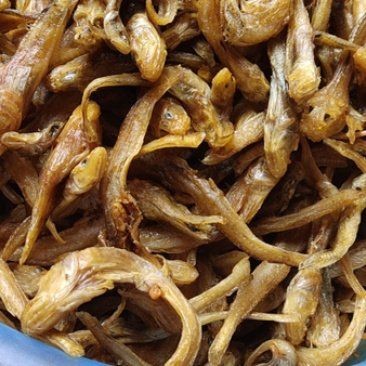 紅龍魚王價(jià)格及圖片大全大圖高清，紅龍魚王價(jià)格及圖片大全大全，紅龍魚王價(jià)格及圖片大全