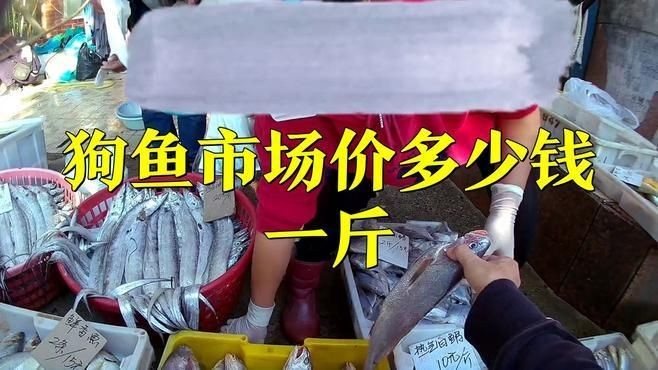 狗頭魚多少錢一條：開箱奈及利亞紅圓點狗頭魚開箱奈及利亞紅圓點好看視頻
