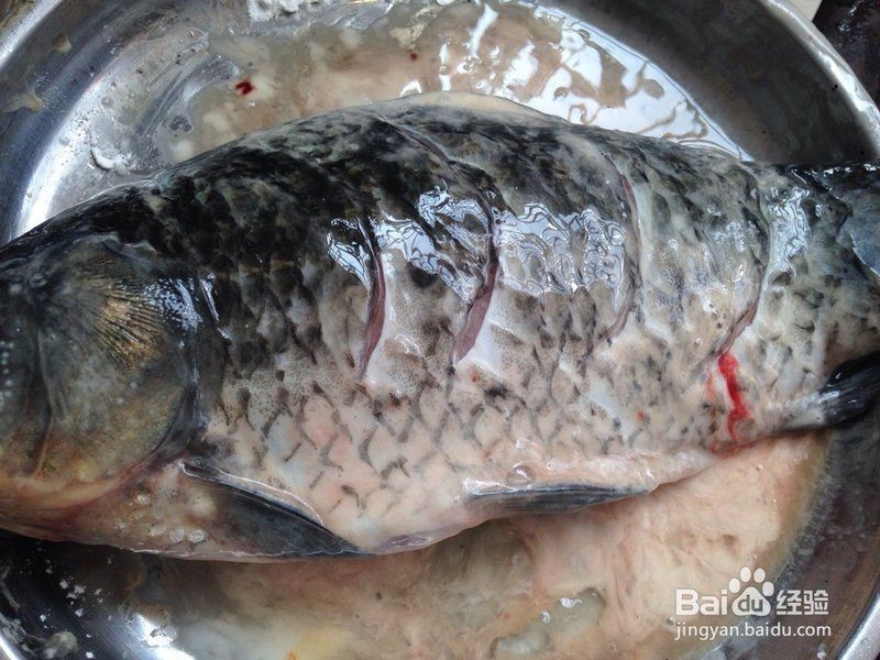 廣東甜酸魚做法大全：《廣東甜酸魚做法大全》