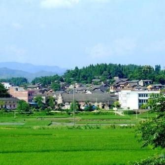 金倉魚是海魚還是淡水：春季吃魚專挑這6種野生魚不能人工養(yǎng)殖魚販子都夸你是行家