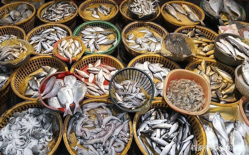 金倉魚是海魚還是淡水：春季吃魚專挑這6種野生魚不能人工養(yǎng)殖魚販子都夸你是行家