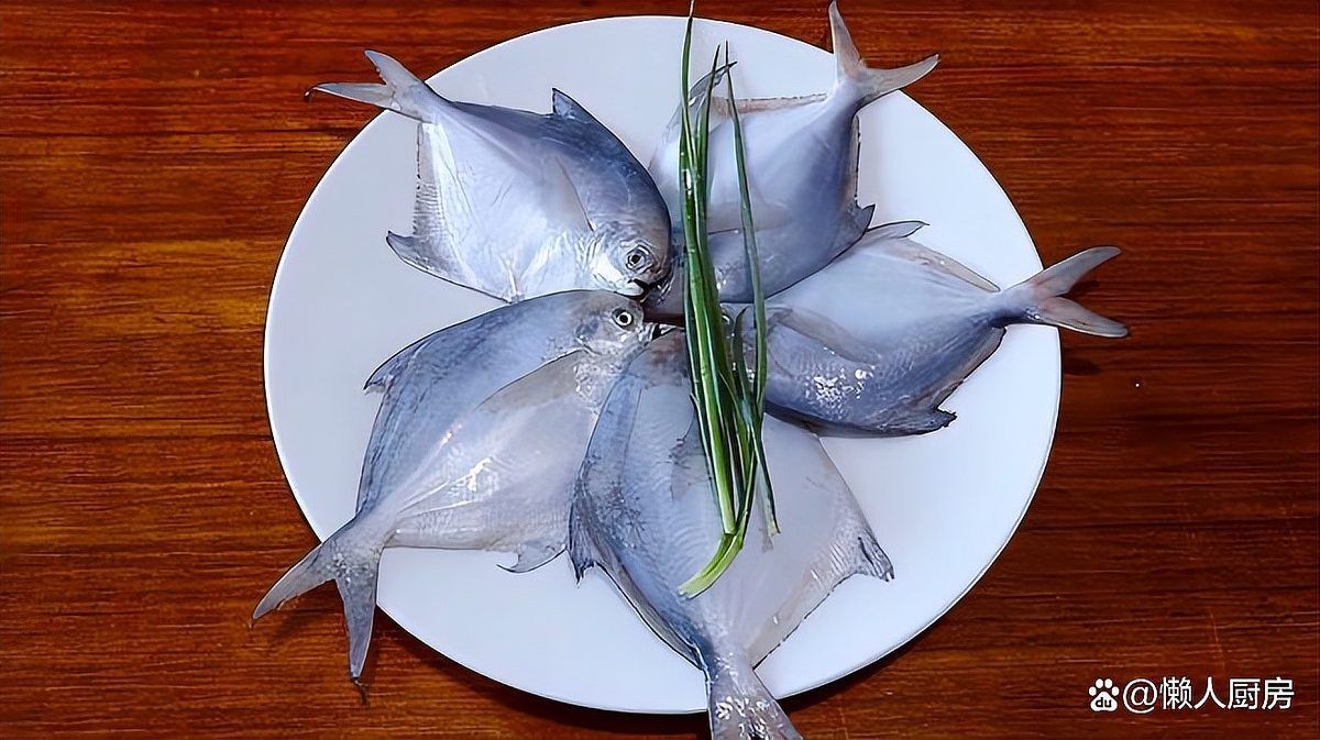 金倉魚是海魚還是淡水：春季吃魚專挑這6種野生魚不能人工養(yǎng)殖魚販子都夸你是行家