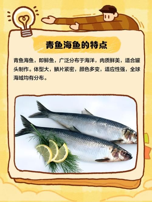 海青魚圖片：**《海青魚圖片》*