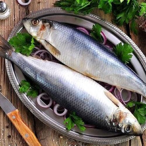 海青魚圖片：**《海青魚圖片》*