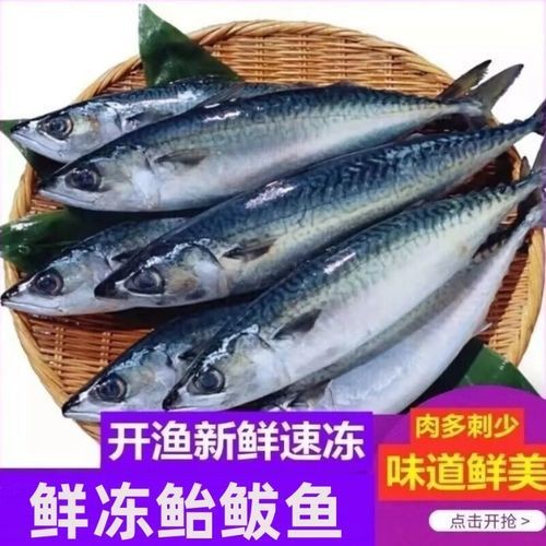 海青魚圖片：**《海青魚圖片》*
