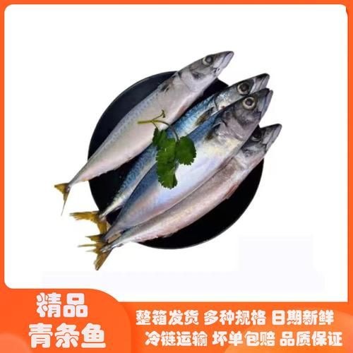 海青魚圖片：**《海青魚圖片》*