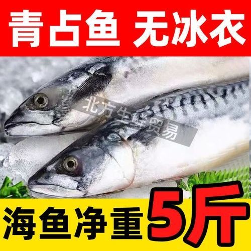 海青魚圖片：**《海青魚圖片》*