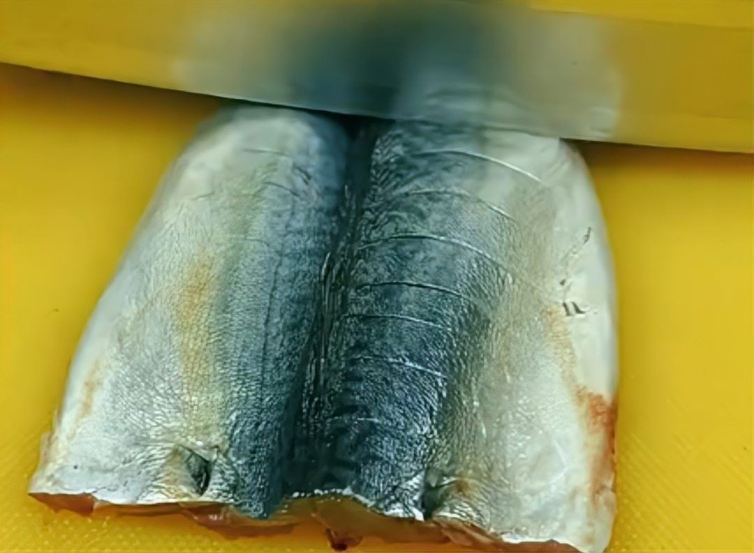 海青魚圖片：**《海青魚圖片》*