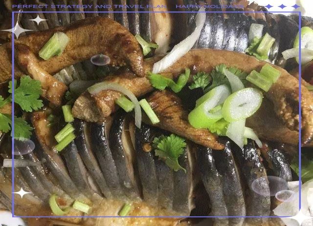 海青魚圖片：**《海青魚圖片》*