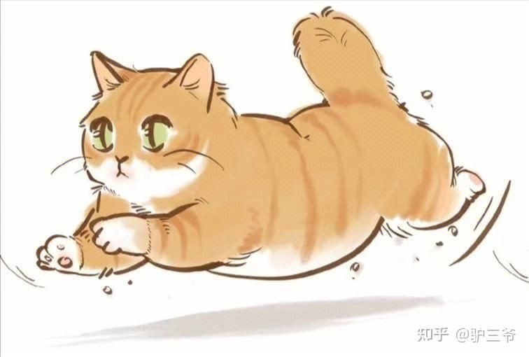 家里養(yǎng)貓又養(yǎng)魚相克嗎：家中同時(shí)飼養(yǎng)貓推倒6,貓與魚存在“相克”問題