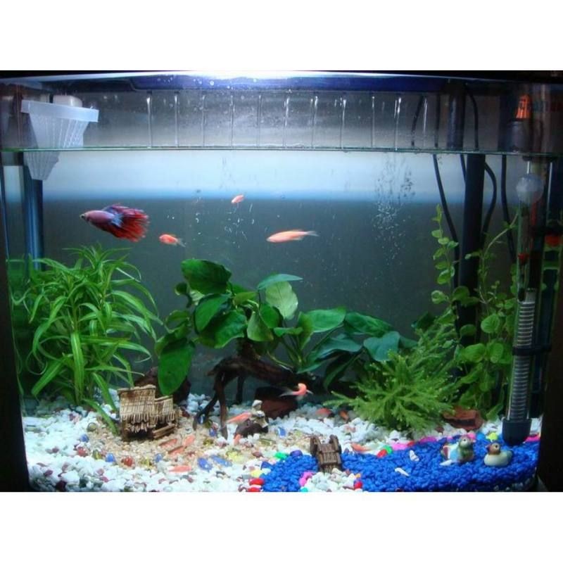 太原魚缸店：太原萬柏林區萬柏林區宏娟魚缸店亮點水族館
