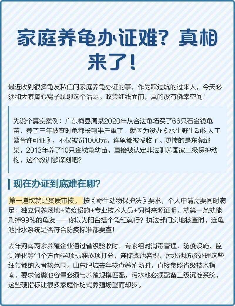 家庭養龜辦不了證：家庭養龜辦證困境與合法化路徑探析
