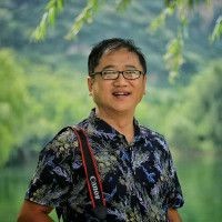 軍博綠老虎團旗：《軍博綠老虎團旗》#【文物價值與歷史價值均屬罕見
