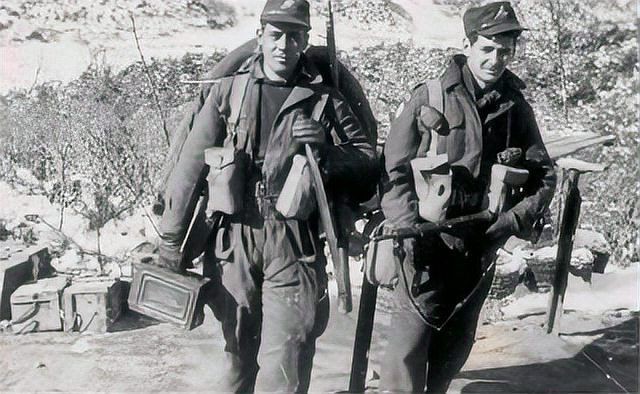 軍博綠老虎團旗：《軍博綠老虎團旗》#【文物價值與歷史價值均屬罕見