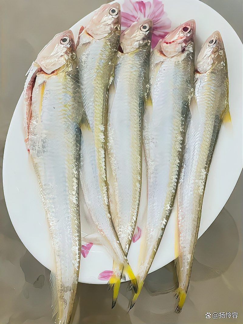 今年刀魚的價格：2019年刀魚價格趨勢分析 今年刀魚的價格：2019年刀魚價格趨勢分析 龍魚百科 第12張