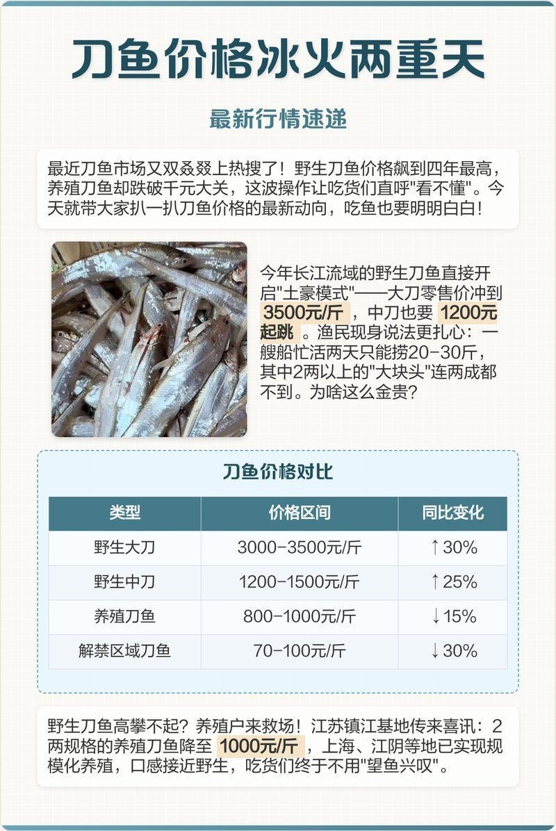 今年刀魚的價格：2019年刀魚價格趨勢分析 今年刀魚的價格：2019年刀魚價格趨勢分析 龍魚百科 第3張