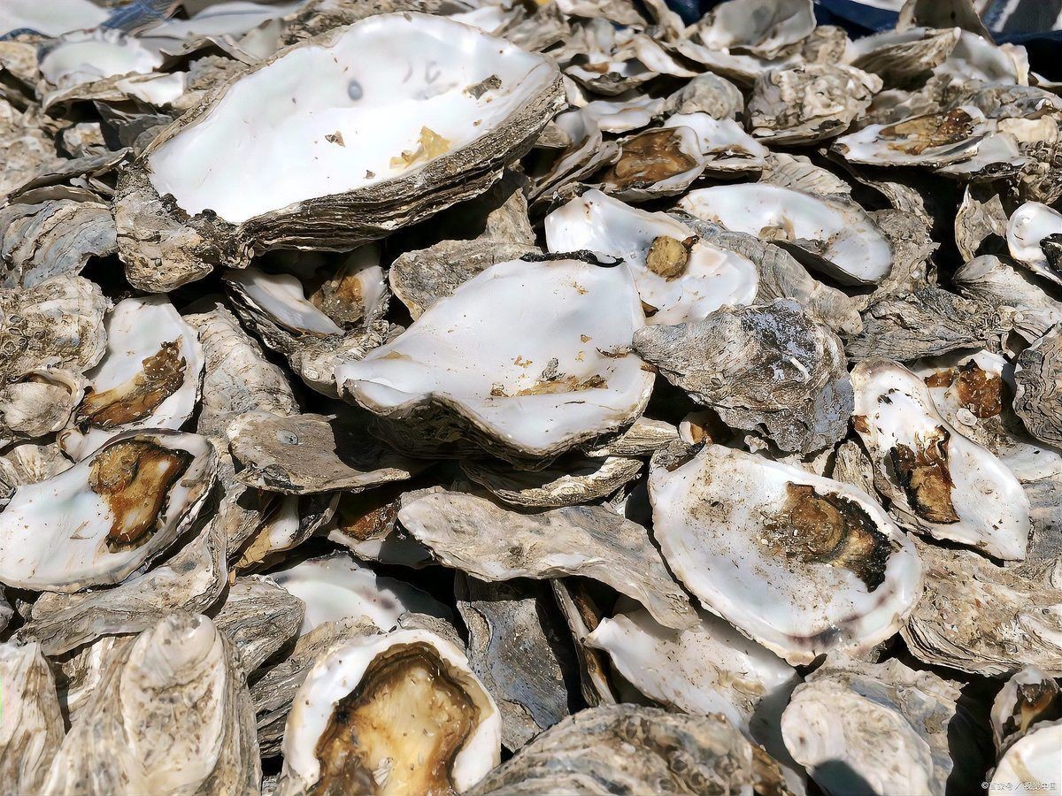 昌都魚缸維護：昌都地區的魚缸維護需結合高原氣候與水質特點展開 昌都魚缸維護：昌都地區的魚缸維護需結合高原氣候與水質特點展開 全國水族館企業名錄 第9張