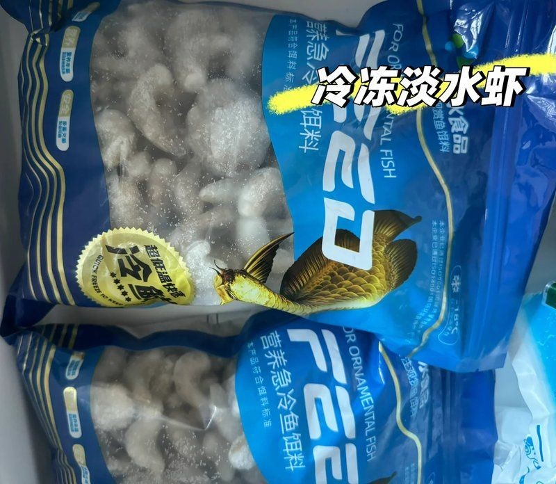 灰狗頭魚(yú)最簡(jiǎn)單三個(gè)步驟：*《灰狗頭魚(yú)最簡(jiǎn)單三個(gè)步驟》灰狗頭魚(yú)養(yǎng)殖攻略 灰狗頭魚(yú)最簡(jiǎn)單三個(gè)步驟：*《灰狗頭魚(yú)最簡(jiǎn)單三個(gè)步驟》灰狗頭魚(yú)養(yǎng)殖攻略 龍魚(yú)論壇 第13張