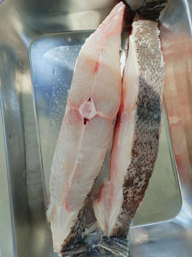 個牙魚圖片：個牙魚圖片嘎牙魚、橙腹牙魚如勾亞斯、潘塔那爾等品種
