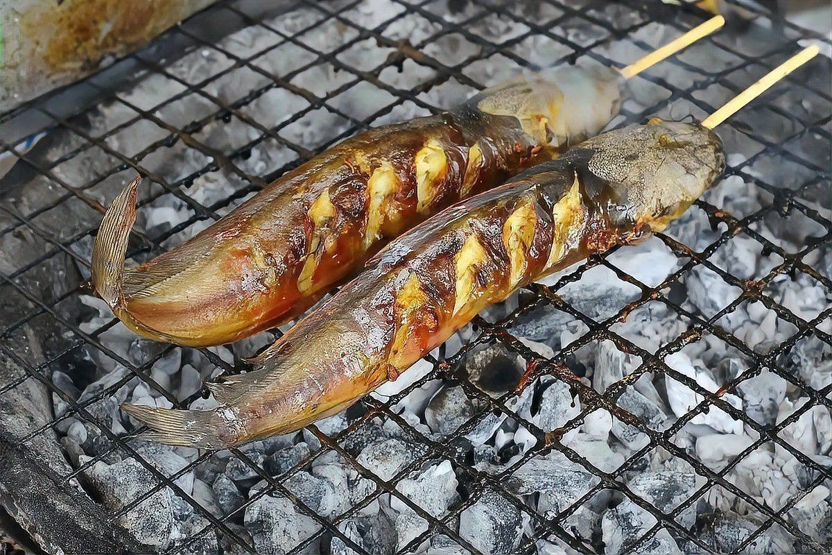 易縣龍魚有哪些品種？，易縣龍魚品種對比表，易縣龍魚市場價格如何