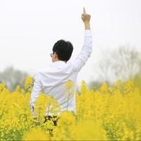 巨齒鯊2普通話免費(fèi)觀看：《巨齒鯊2:深淵》免費(fèi)觀看