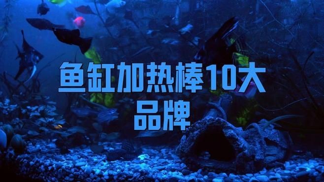 國產加熱棒哪個牌子好：十大魚缸加熱棒排行榜