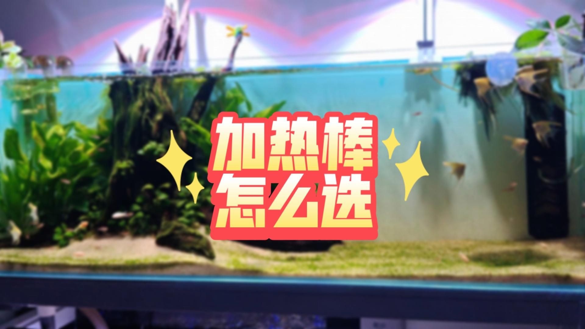 國產加熱棒哪個牌子好：十大魚缸加熱棒排行榜