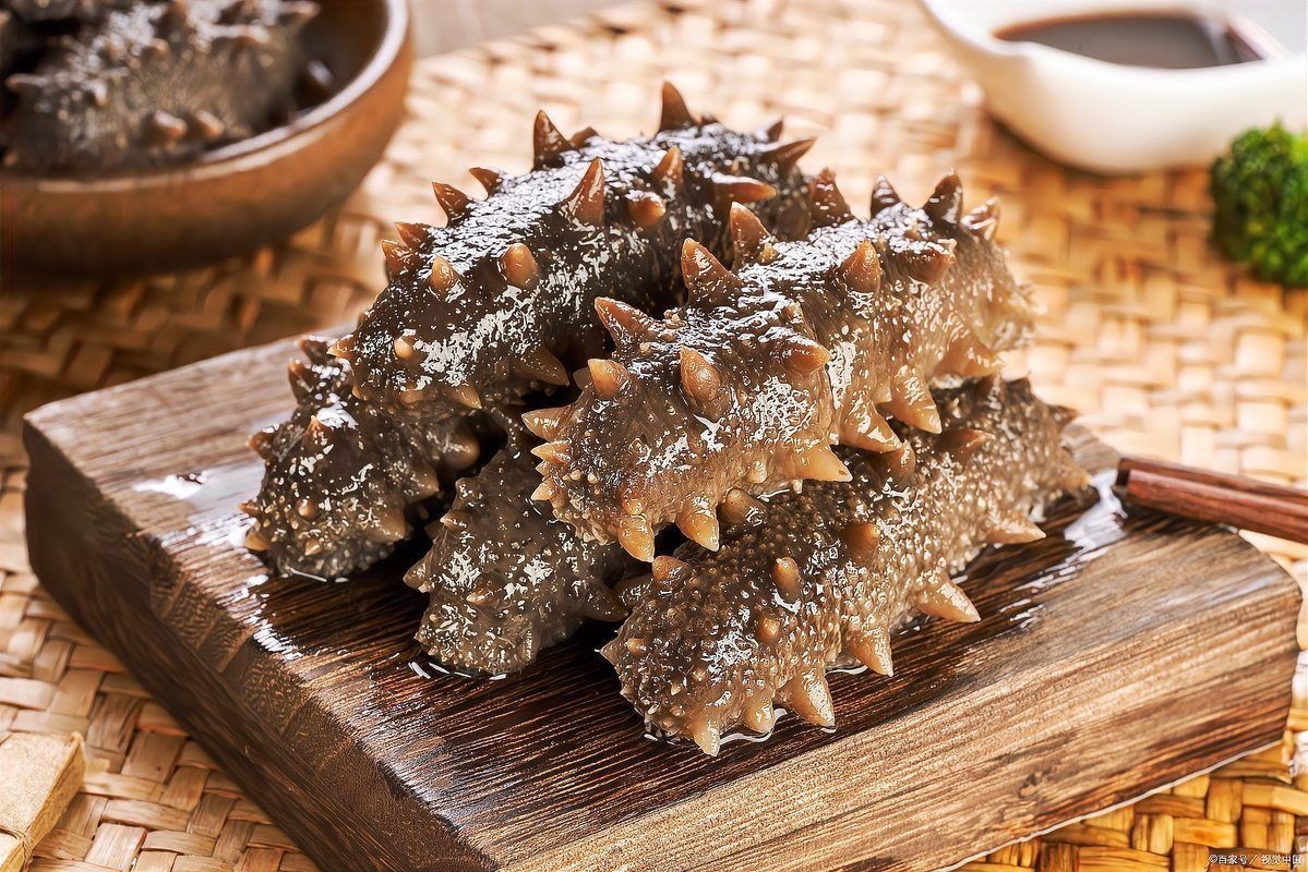 海參斑魚為什么不建議吃：海參斑魚的食用安全性存在爭議，專家建議謹慎食用海參斑魚