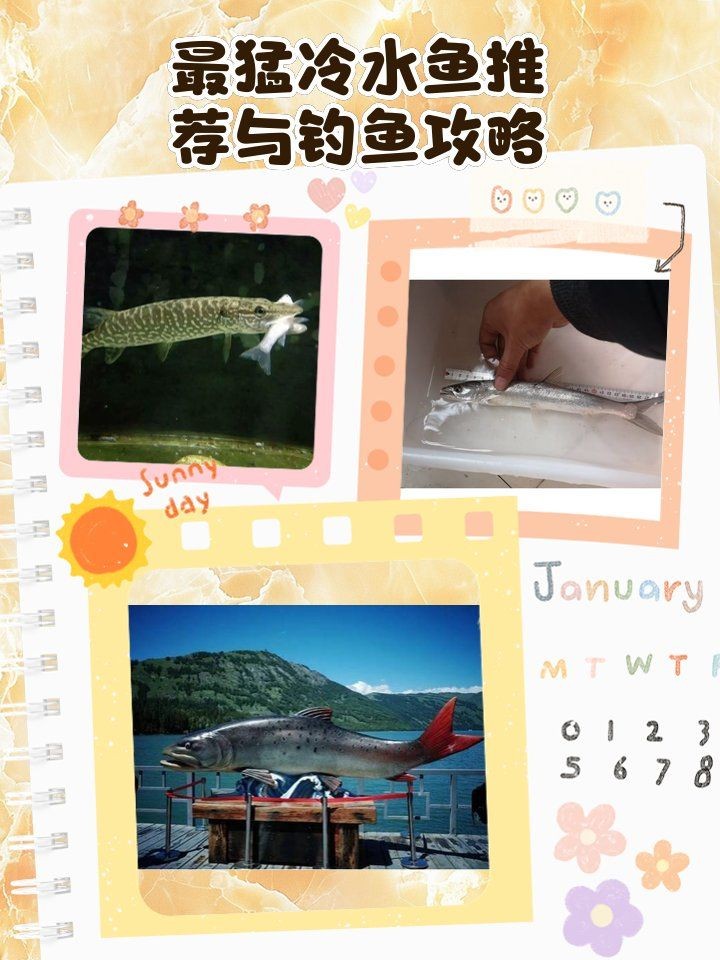 狗魚vs鳡魚：狗魚與鳡魚形態特征對比分析，狗魚與鳡魚形態特征對比