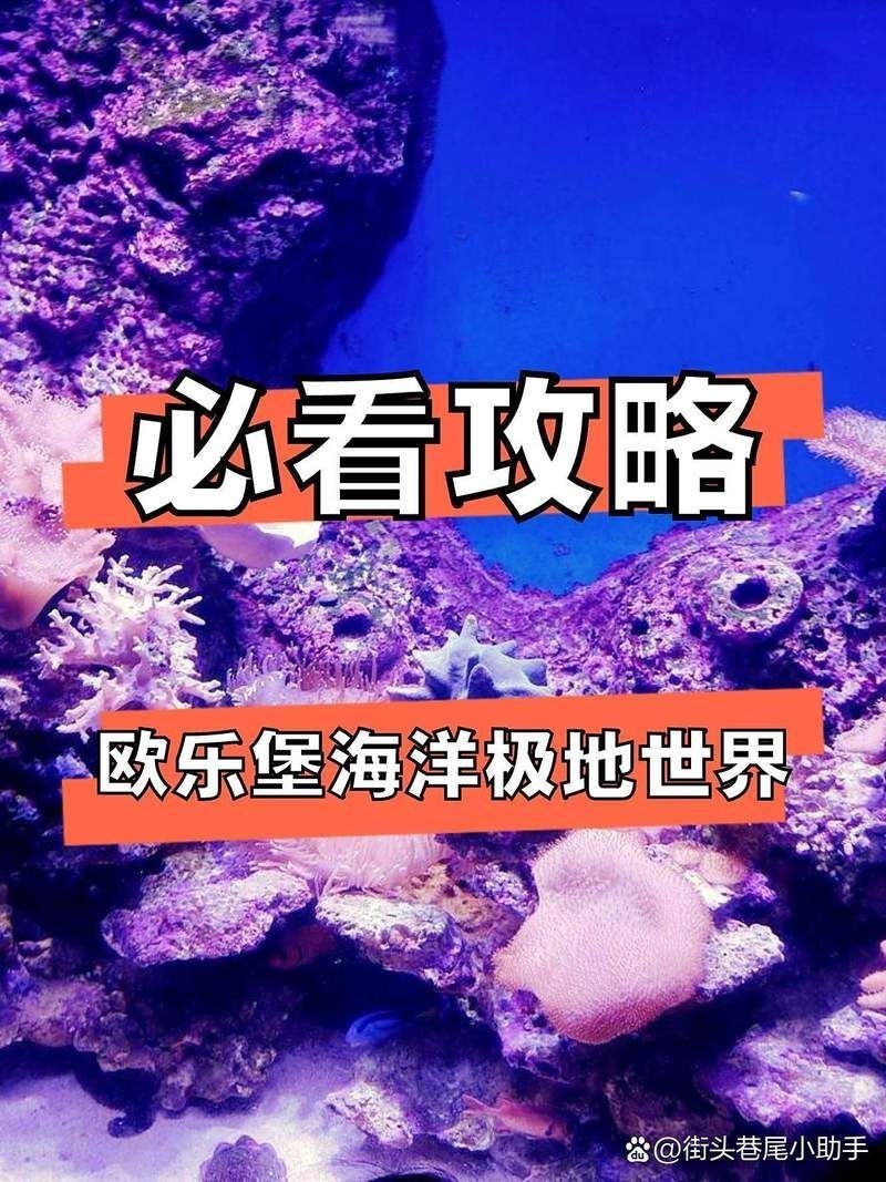 德州水族館：德州水族館游玩攻略
