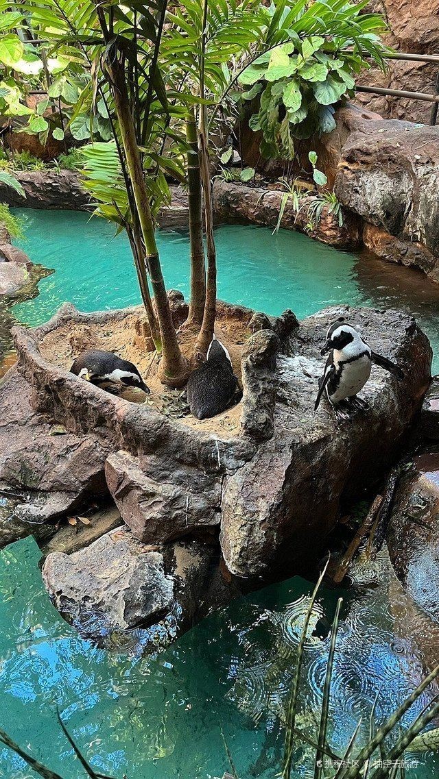 德州水族館：德州水族館游玩攻略