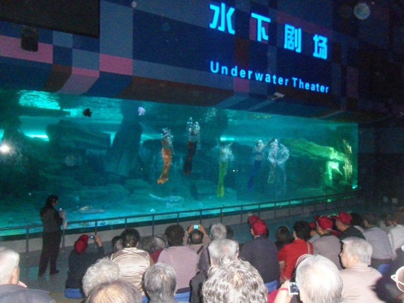 過背金龍爬背失敗的原因有哪些，——過背金龍爬背失敗的原因 過背金龍爬背失敗的原因有哪些，——過背金龍爬背失敗的原因 龍魚百科 第1張