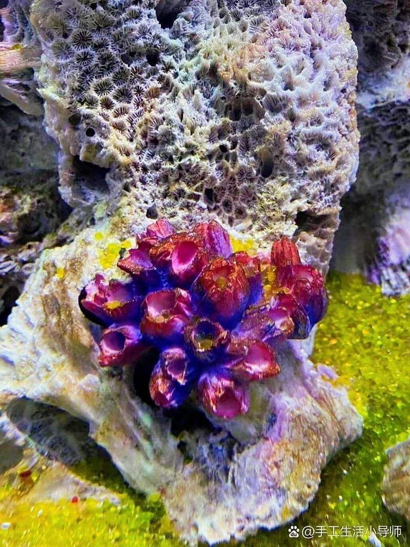 德州水族館：德州水族館游玩攻略