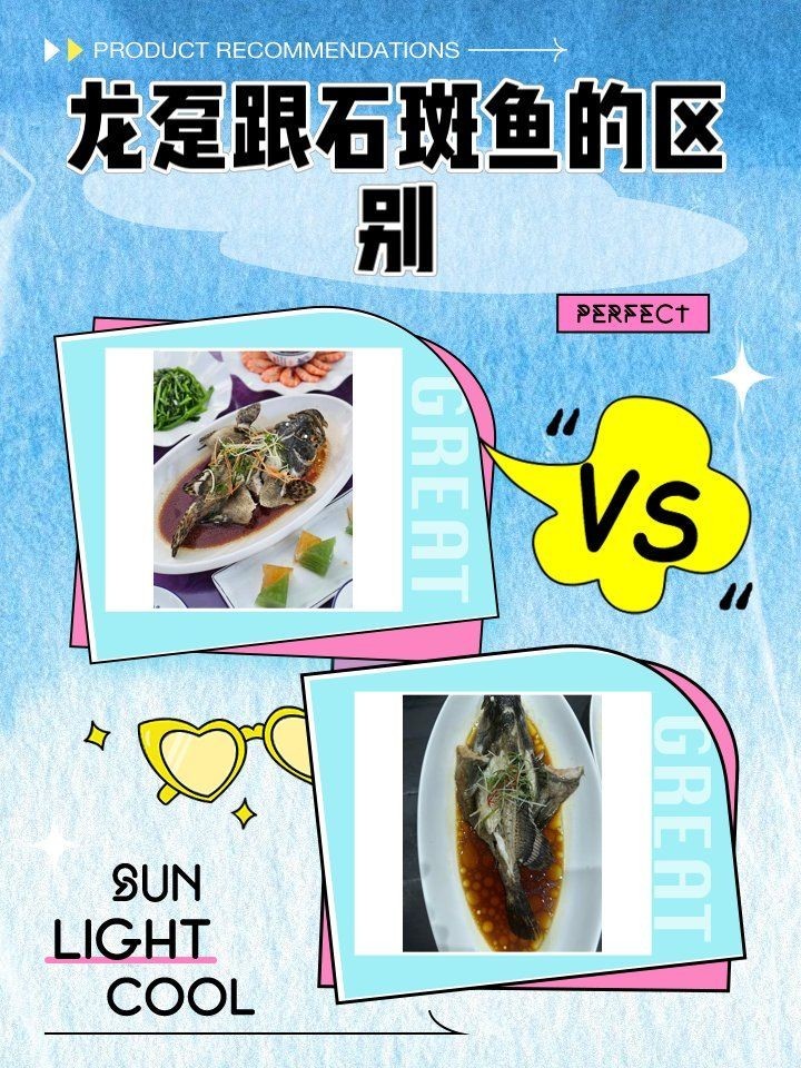 海魚(yú)龍躉：探秘海洋丨海魚(yú)龍躉 海魚(yú)龍躉：探秘海洋丨海魚(yú)龍躉 龍魚(yú)論壇 第9張