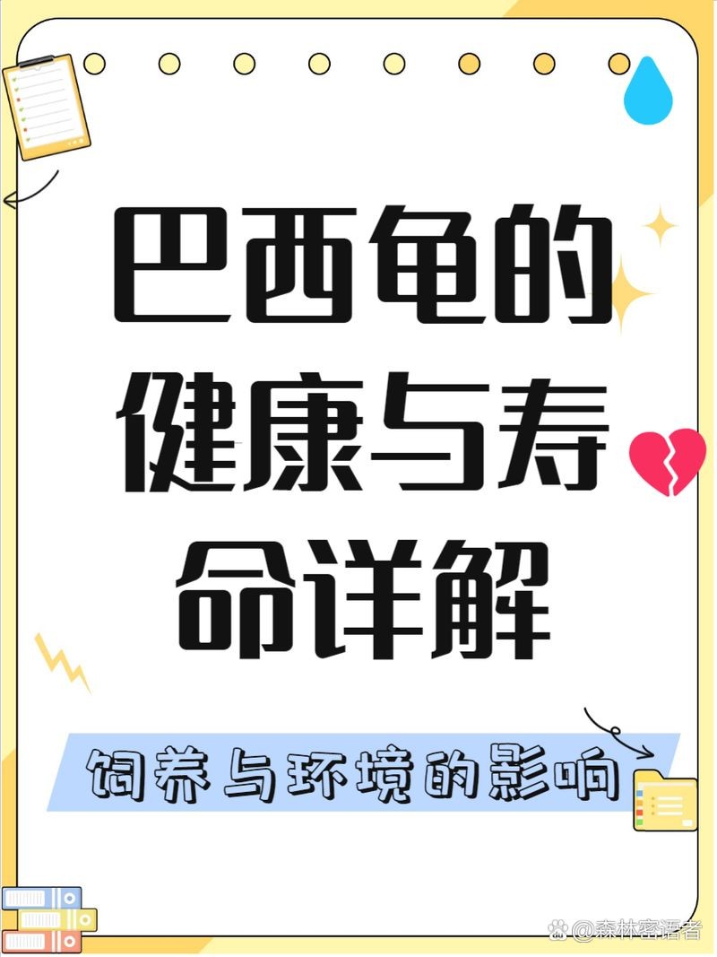 家養巴西龜的壽命：家養巴西龜壽命有多長 家養巴西龜的壽命：家養巴西龜壽命有多長 龍魚論壇 第17張
