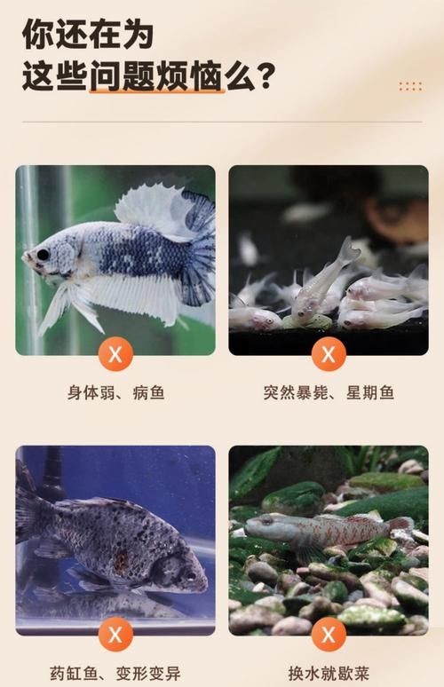 關(guān)刀魚圖片：不同種類關(guān)刀魚介紹
