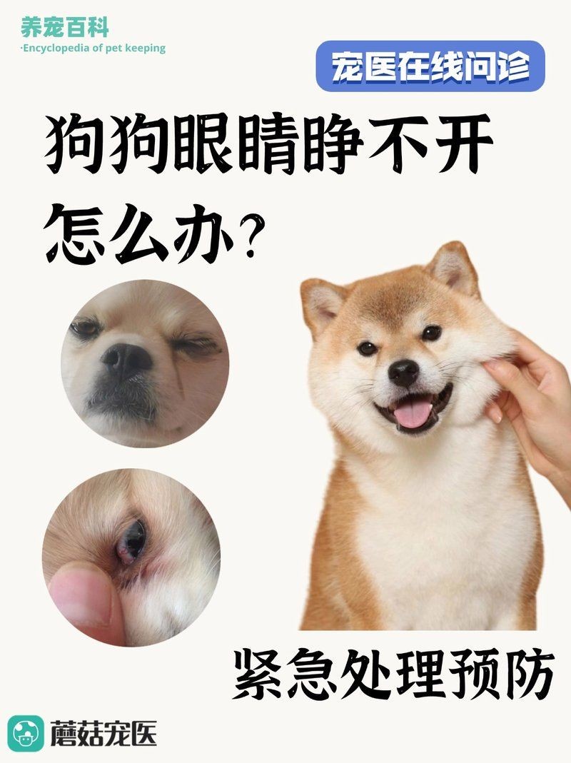 狗頭魚眼晴白了,睜不開,嘴巴張開,狀：狗頭魚眼睛發白、睜不開、嘴巴張開是怎么回事