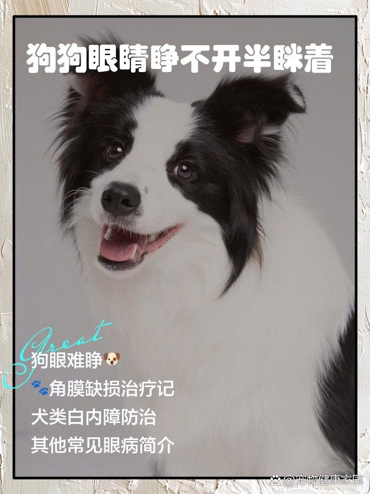 狗頭魚眼晴白了,睜不開,嘴巴張開,狀：狗頭魚眼睛發白、睜不開、嘴巴張開是怎么回事