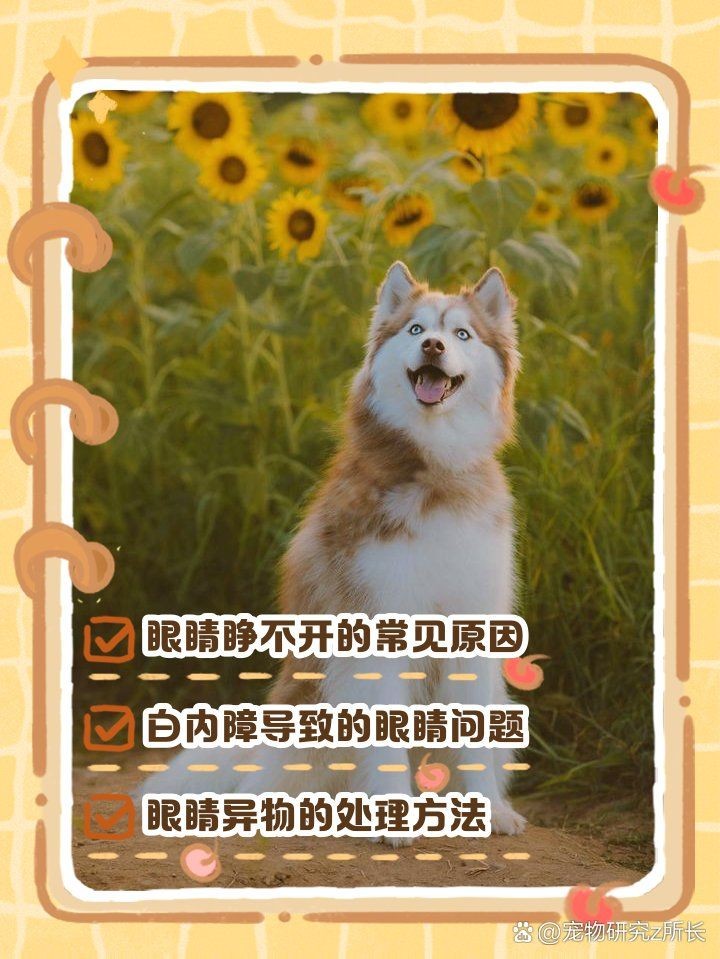 狗頭魚眼晴白了,睜不開,嘴巴張開,狀：狗頭魚眼睛發白、睜不開、嘴巴張開是怎么回事