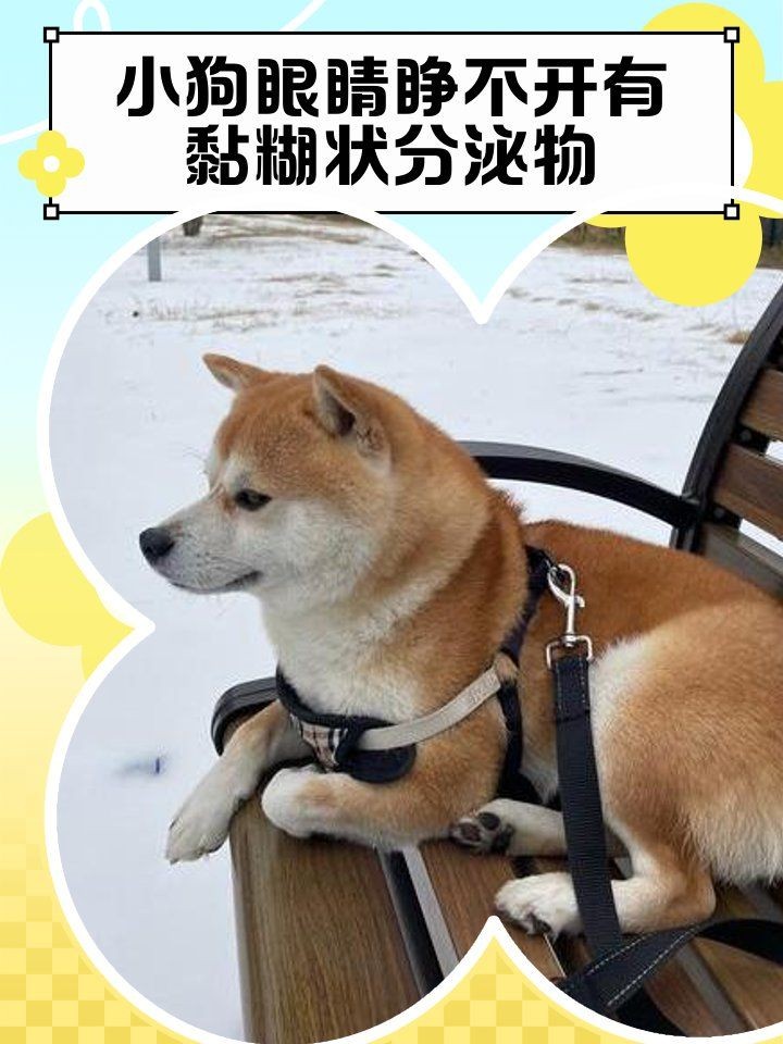 狗頭魚眼晴白了,睜不開,嘴巴張開,狀：狗頭魚眼睛發白、睜不開、嘴巴張開是怎么回事