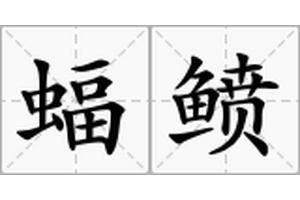 海洋動物蝠鲼怎么讀：“蝠鲼”的正確讀音