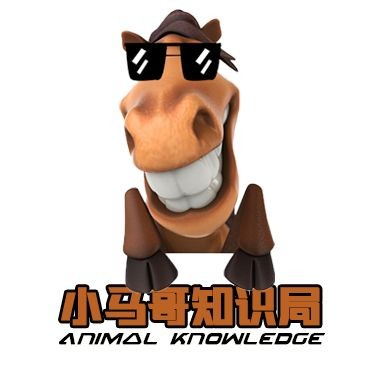 海豹吃人還是海獅吃人：關(guān)于海豹和海獅吃人的問題