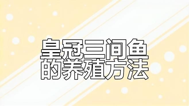 皇冠三間魚視頻：極具觀賞價(jià)值的熱帶淡水魚——皇冠三間魚