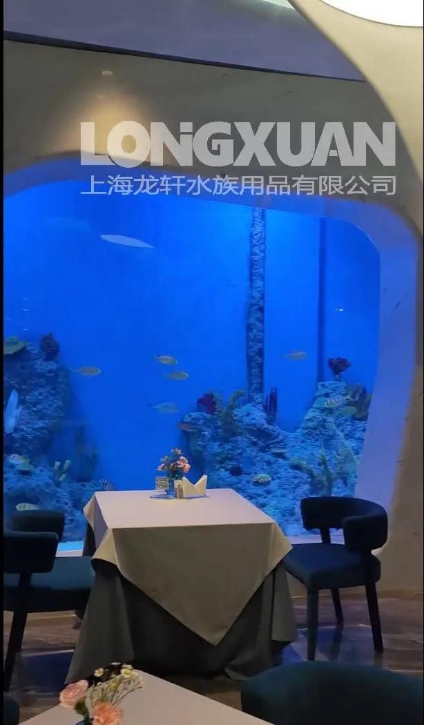 山南魚缸定做：山南地區(qū)魚缸定做服務(wù)